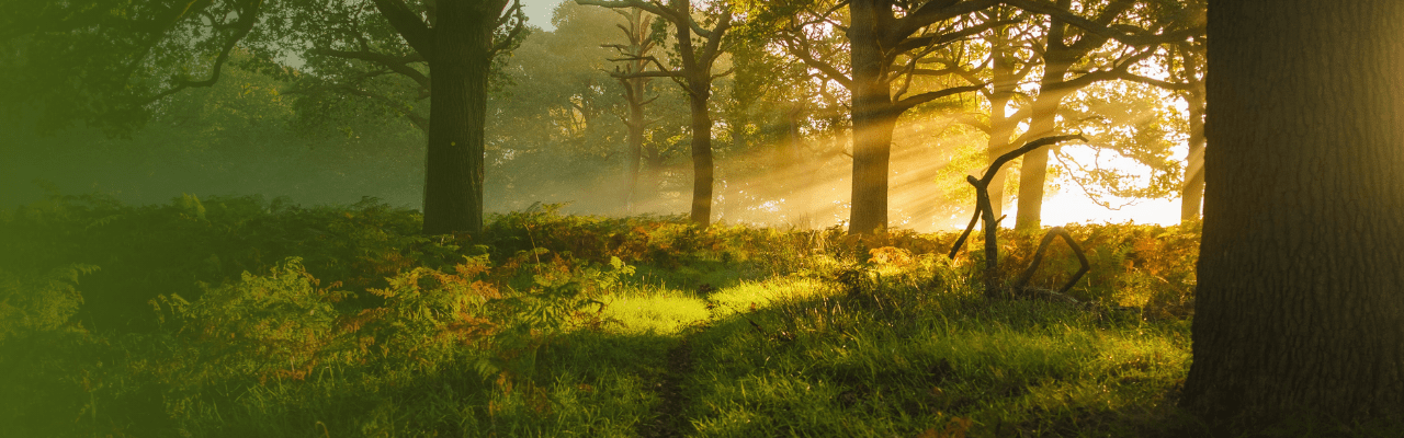 Inspire Me Image